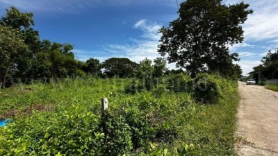 ที่ดิน บ้านปทุม สามโคก ทำเลดี ติดถนนสาธารณะ ถมแล้ว ใกล้ความเจริญ - รูปที่ 2