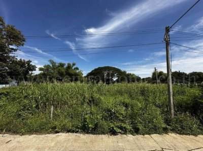 ที่ดิน บ้านปทุม สามโคก ทำเลดี ติดถนนสาธารณะ ถมแล้ว ใกล้ความเจริญ - รูปที่ 5