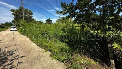 ที่ดิน บ้านปทุม สามโคก ทำเลดี ติดถนนสาธารณะ ถมแล้ว ใกล้ความเจริญ - รูปที่ 4