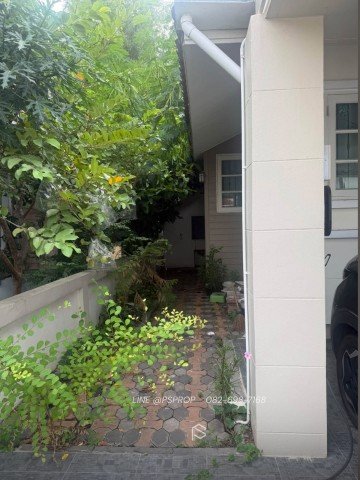 บ้านเช่าศรีราชา ใกล้ใจกลางศรีราชา หมู่บ้านสุรศักดิ์ พาร์ค วิลล์ ใกล้โรงเรียนอัสสัมชัญศรีราชา Robinson Sriracha J-Park   HR0119 - รูปที่ 5
