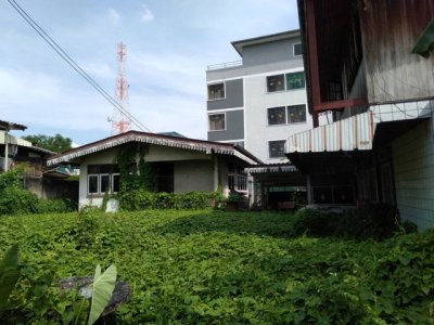 ขายที่ดินแปลงสวย ซอยจรัลสนิทวงศ์ 31 ขนาดพื้นที่ 82 ตร.วา. แถมบ้านไม้ 2 หลังในบริเวณที่ดิน - รูปที่ 3