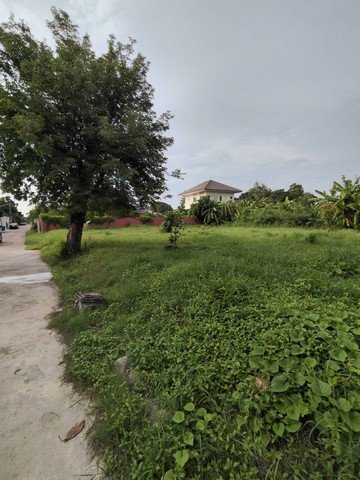 ขายที่ดินถมแล้ว 198 ตร.ว.ย่านนวมินทร์ หมู่บ้านศรีนครพัฒนา - รูปที่ 8