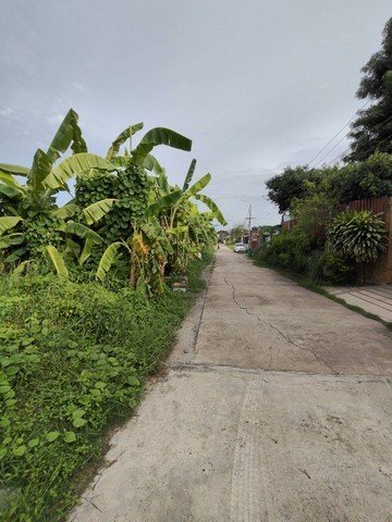 ขายที่ดินถมแล้ว 198 ตร.ว.ย่านนวมินทร์ หมู่บ้านศรีนครพัฒนา - รูปที่ 7