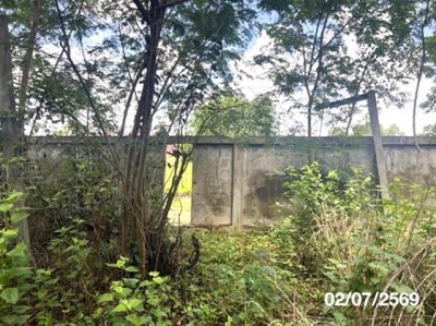ขายโรงงาน อำนาจเจริญ ถนน สายบ้านหนองขุ่น ตำบล จิกดู่ อำเภอ หัวตะพาน จังหวัด อำนาจเจริญ - รูปที่ 2