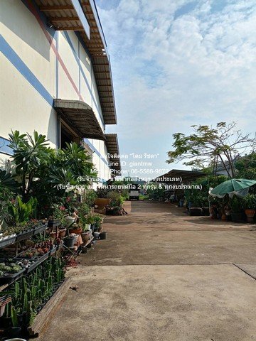 DSL-791 ขาย โรงงาน ขายโรงงาน (สำนักงาน และโกดัง) อ.เมือง จ.สมุทรสาคร 4-1-61 ไร่ ราคา 45 ล้านบาท 45000000 บาท สมุทรสาคร - รูปที่ 2