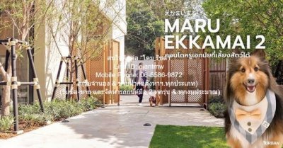 DSL-785 ขาย คอนโด Maru EKKAMAI 2 มารุ เอกมัย 2 55 ตารางเมตร ชั้นทั้งหมด 32 ชั้น - รูปที่ 2