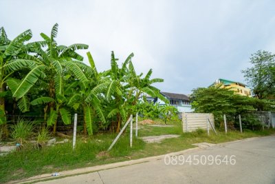 ขายที่ดิน สุคนธสวัสดิ์ 14 ขนาด 200 ตรว. หน้ากว้าง 25.5 เมตร เข้าซอยเพียง 200 เมตร ถมแล้ว สภาพแวดล้อมดี เหมาะปลูกบ้าน - รูปที่ 5