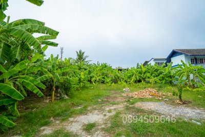 ขายที่ดิน สุคนธสวัสดิ์ 14 ขนาด 200 ตรว. หน้ากว้าง 25.5 เมตร เข้าซอยเพียง 200 เมตร ถมแล้ว สภาพแวดล้อมดี เหมาะปลูกบ้าน - รูปที่ 8