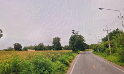 ขายที่ดิน 4-2-31 ไร่ ติดถนนทางหลวง สบ 1022 อ.หนองโดน จ.สระบุรี - รูปที่ 7