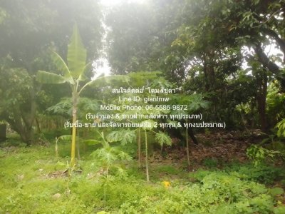 DSL-1009.2 ให้เช่า ที่ดิน ขายที่ดินเกษตรกรรมผืนใหญ่ 3-0-27.3 ไร่ ถนนพิบูลสงคราม นนทบุรี ใกล้กับ ห่างสถานี MRT แยกติวานนท์ ประมาณ 1.8 กม. 3 - รูปที่ 7