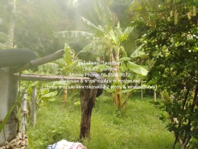 DSL-1009.1 ขาย ที่ดิน ขายที่ดินเกษตรกรรมผืนใหญ่ 3-0-27.3 ไร่ ถนนพิบูลสงคราม นนทบุรี ใกล้กับ ห่างสถานี MRT แยกติวานนท์ ประมาณ 1.8 กม. - รูปที่ 3
