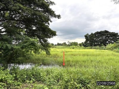 ขายโรงงาน ชัยภูมิ ถนน ทางหลวงชนบทสายหนองไฮใต้ ตำบล กุดชุมแสง อำเภอ หนองบัวแดง จังหวัด ชัยภูมิ - รูปที่ 2
