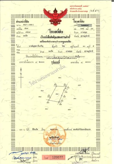 🌊 SEA VIEW LAND FOR SALE – KOH SAMUI, LAMAI 🏡 OWNER DIRECT – NO AGENT - รูปที่ 8