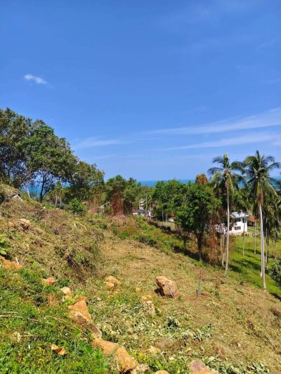 🌊 SEA VIEW LAND FOR SALE – KOH SAMUI, LAMAI 🏡 OWNER DIRECT – NO AGENT - รูปที่ 3