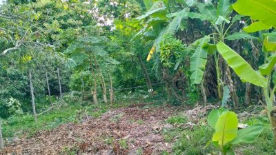 ขายที่เปล่า 100ตรว. 1.2ลบ. ฟรีโอน ใกล้ถนนซุปเปอร์-ทางรถไฟ แยกป่าแดด ต.ยางเนิ้ง อ.สารภี เชียงใหม่ - รูปที่ 6