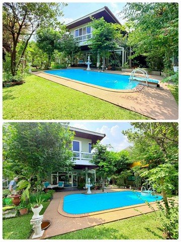 ขายบ้าน, ออฟฟิศสำนักงาน ,โกดัง ลำลูกกา ซ.34/2 เป็นบ้านเดี๋ยวหลังใหญ่ - รูปที่ 2