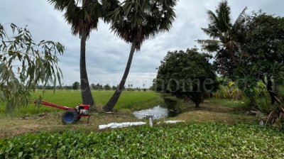 ขายด่วน ที่ดิน 9-3-99.5 ไร่ ดอนโพธิ์ - สุพรรณบุรี มีผู้เช่า ทำเลดี - รูปที่ 3