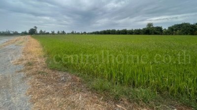 ขายด่วน ที่ดิน 9-3-99.5 ไร่ ดอนโพธิ์ - สุพรรณบุรี มีผู้เช่า ทำเลดี - รูปที่ 4