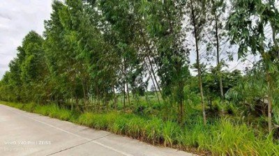 ขายที่ดินหนองอิรุณบ้านบึงชลบุรี ขายที่ดิน 15 ไร่ อยู่ใกล้นิคมAsiaClean พื้นที่สีเหลือง - รูปที่ 8