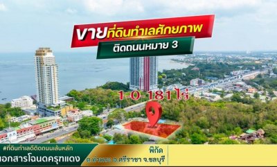 ขายที่ดินบางพระ ศรีราชา แปลงสวย ใจกลางเมือง แหล่งชุมชน FP-L02374 - รูปที่ 3
