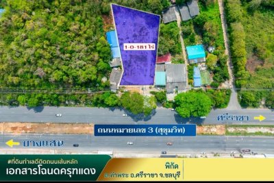 ขายที่ดินบางพระ ศรีราชา แปลงสวย ใจกลางเมือง แหล่งชุมชน FP-L02374 - รูปที่ 6