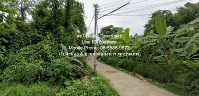DSL-1015 ขาย ที่ดิน ขายที่ดินเปล่า 2-0-64.1 ไร่ ท่าโพธิ์ จ.พิษณุโลก ราคา 1.60 ล้านบาท  1600000 บาท 2 ไร่ 864 ตร.วา ใกล้กับ ใกล้แม่น้ำน่าน - รูปที่ 6