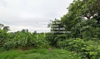 DSL-1015 ขาย ที่ดิน ขายที่ดินเปล่า 2-0-64.1 ไร่ ท่าโพธิ์ จ.พิษณุโลก ราคา 1.60 ล้านบาท  1600000 บาท 2 ไร่ 864 ตร.วา ใกล้กับ ใกล้แม่น้ำน่าน - รูปที่ 7