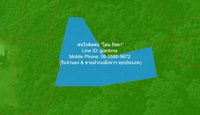 DSL-1015 ขาย ที่ดิน ขายที่ดินเปล่า 2-0-64.1 ไร่ ท่าโพธิ์ จ.พิษณุโลก ราคา 1.60 ล้านบาท  1600000 บาท 2 ไร่ 864 ตร.วา ใกล้กับ ใกล้แม่น้ำน่าน - รูปที่ 2