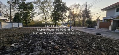 DSL-1003 ขาย ที่ดิน ขายที่ดินเปล่าถมแล้วในโครงการจัดสรร (แปลงหัวมุม) 101 ตร.ว. ถ.พุทธมณฑลสาย 2 ราคา 3,737,000 บาท ใกล้กับ ตลาดสี่แยกทศกัณฑ์ - รูปที่ 6