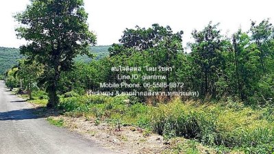 DSL-956 ขาย ที่ดิน - 1 งาน 100 ตร.วา ใกล้กับ เวลเนส เวิลด์ ชีวา เขาใหญ่  นครราชสีมา    ปากช่อง    1600000 บาท - รูปที่ 5