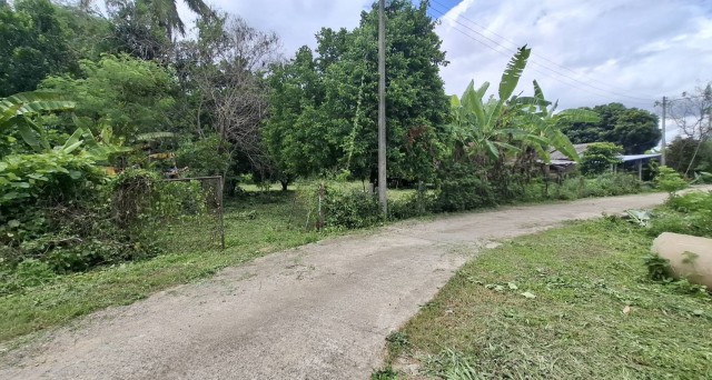 2388 ขาย ที่ดิน ที่ดินสันทราย เชียงราย    ชั้นที่ 1