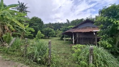 2388 ขาย ที่ดิน ที่ดินสันทราย เชียงราย    ชั้นที่ 1 - รูปที่ 8