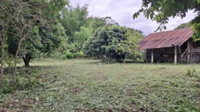 2388 ขาย ที่ดิน ที่ดินสันทราย เชียงราย    ชั้นที่ 1 - รูปที่ 4