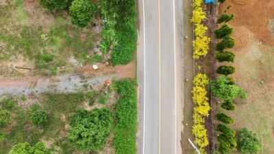 สวนพร้อมผลผลิต ทำเลดี ต.วังกระแจะ อ.เมืองตราด จ.ตราด - รูปที่ 4