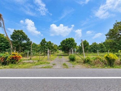 สวนพร้อมผลผลิต ทำเลดี ต.วังกระแจะ อ.เมืองตราด จ.ตราด - รูปที่ 3
