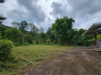 ที่ดินตั้งอยู่ ตอนเหนือของเกาะช้าง โซนบ้านคลองสน ไม่ไกลจากอ่าวคลองสน ลักษณะที่ดินติดชายเขา - รูปที่ 8