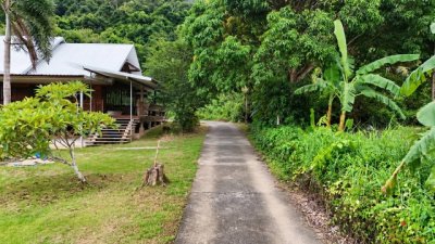 ที่ดินตั้งอยู่ ตอนเหนือของเกาะช้าง โซนบ้านคลองสน ไม่ไกลจากอ่าวคลองสน ลักษณะที่ดินติดชายเขา - รูปที่ 5